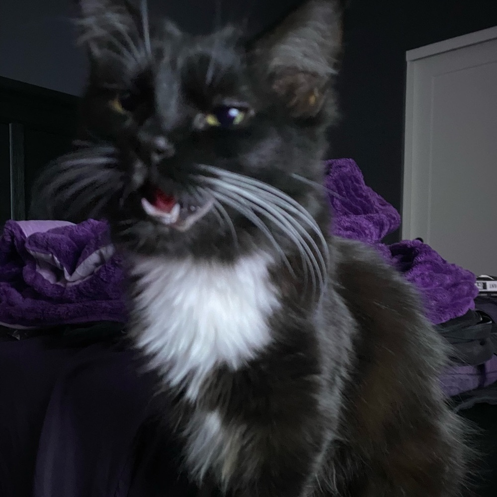 Meet your Posher, Aubrey
I’m new to poshmark 
Will be selling more soon!!🥰